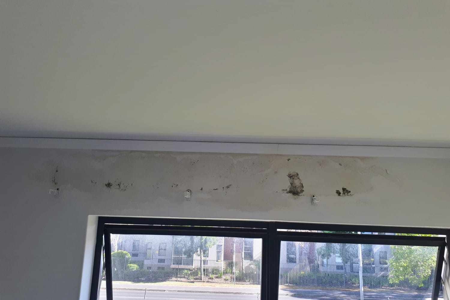 Interior wall in Somerset West with water staining and mould spread along the cornice line